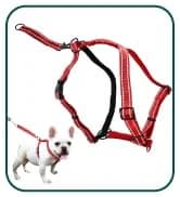 Head Halter for Dogs — No Pull Dog Harness — collection imagery