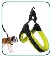 Head Halter for Dogs — No Pull Dog Harness — collection imagery