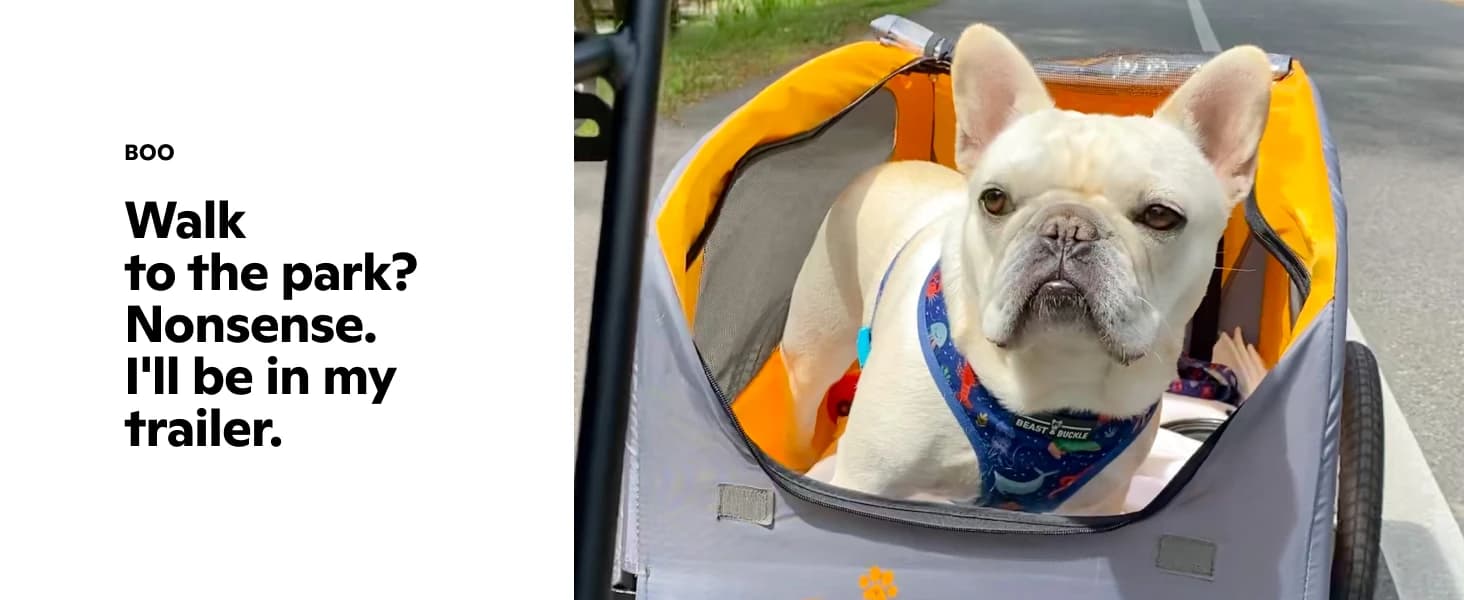 13-SC315 Rascal Bike Pet Trailer — product details