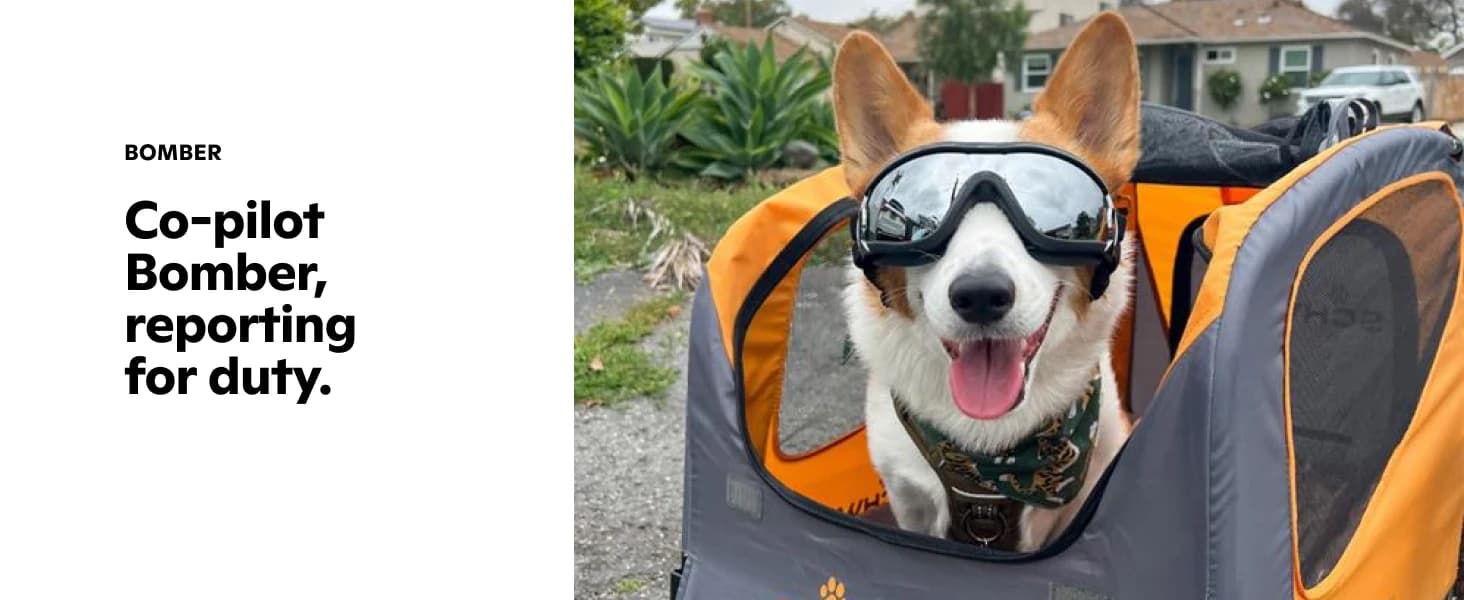 13-SC315 Rascal Bike Pet Trailer — product details