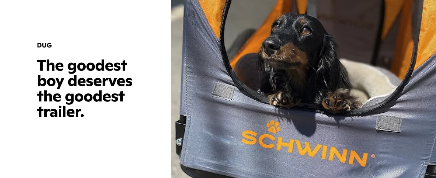 13-SC315 Rascal Bike Pet Trailer — product details