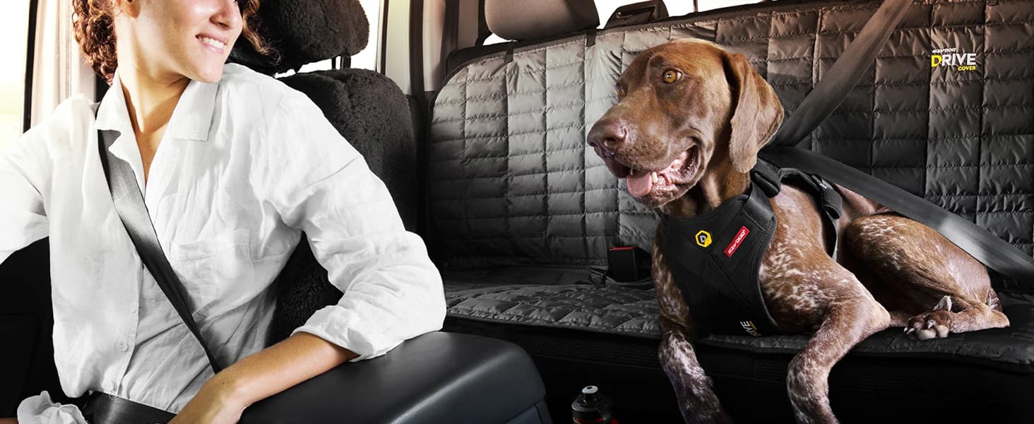 Drive Dog Car Harness — Crash Tested and Certified — collection imagery