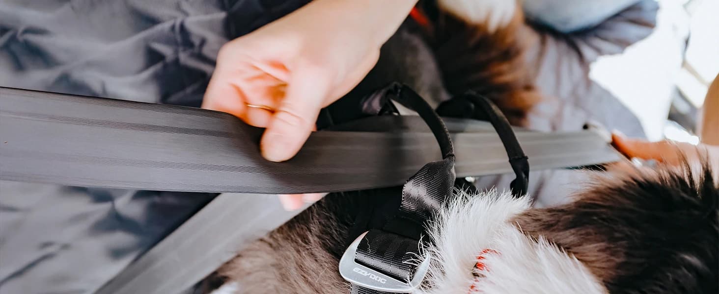 Drive Dog Car Harness — Crash Tested and Certified — collection imagery