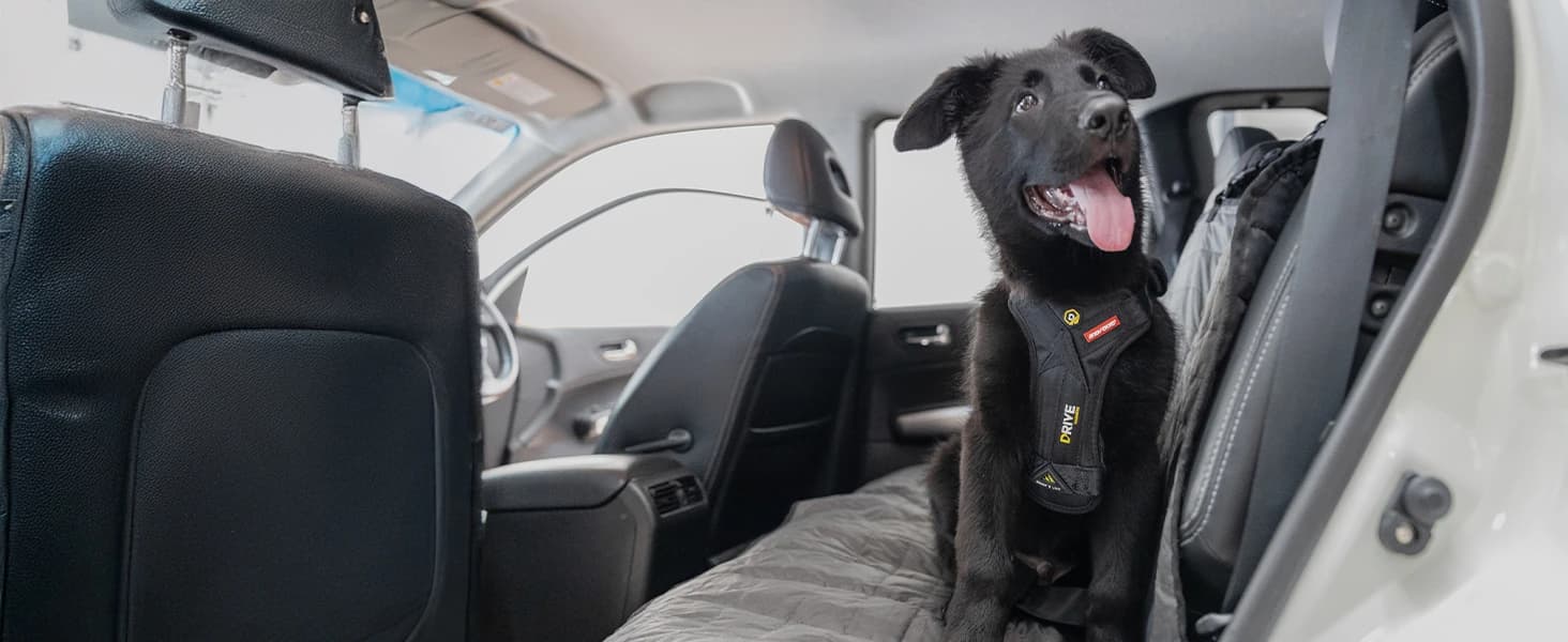 Drive Dog Car Harness — Crash Tested and Certified — collection imagery