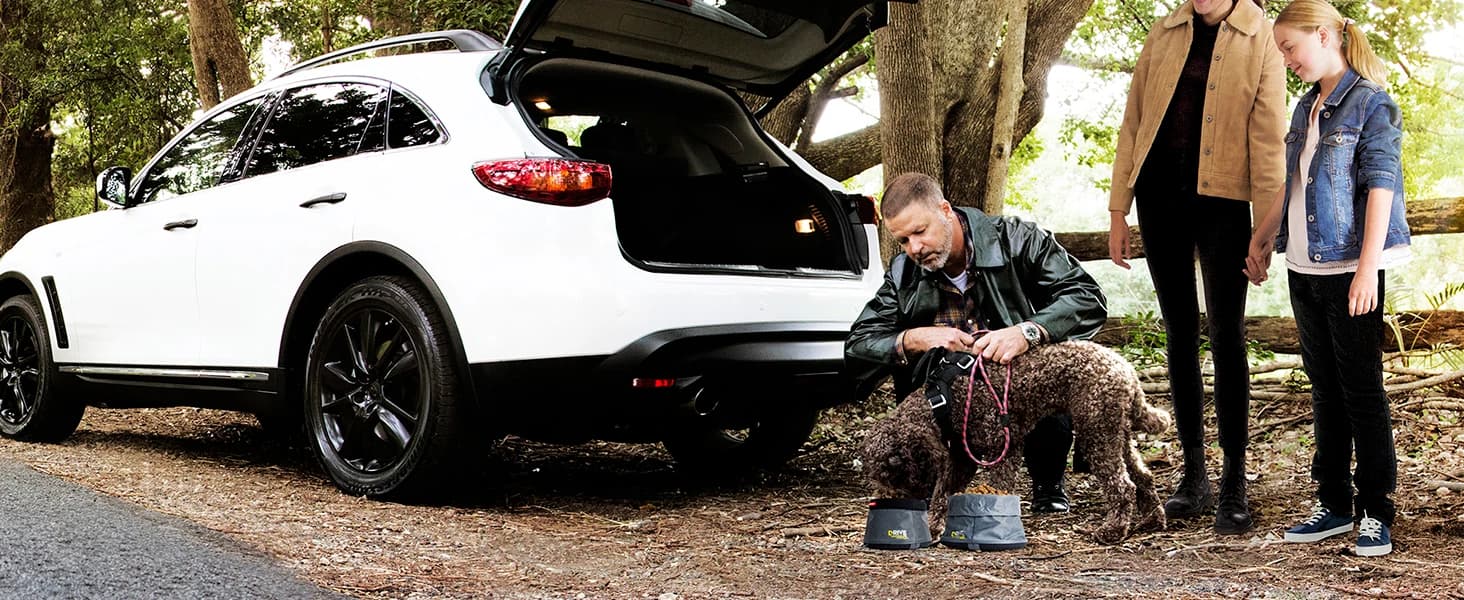 Drive Dog Car Harness — Crash Tested and Certified — collection imagery