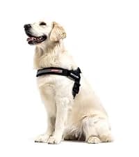 Drive Dog Car Harness — Crash Tested and Certified — collection imagery