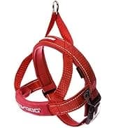 Drive Dog Car Harness — Crash Tested and Certified — collection imagery