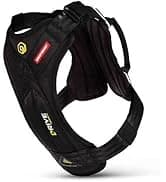 Drive Dog Car Harness — Crash Tested and Certified — collection imagery