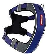 Drive Dog Car Harness — Crash Tested and Certified — collection imagery