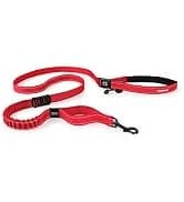 Drive Dog Car Harness — Crash Tested and Certified — collection imagery