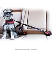 Drive Dog Car Harness — Crash Tested and Certified — collection imagery