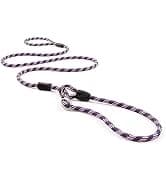 Drive Dog Car Harness — Crash Tested and Certified — collection imagery