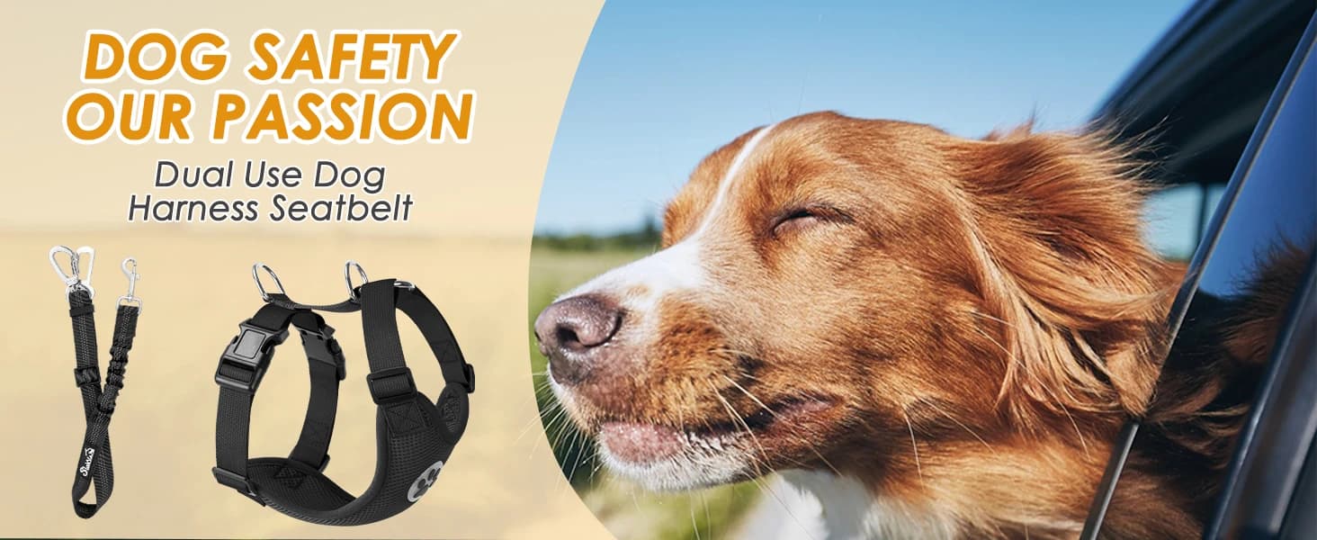 Dog Seat Belt and Harness for Car — 2 in 1 Seatbelt Buckle — product details