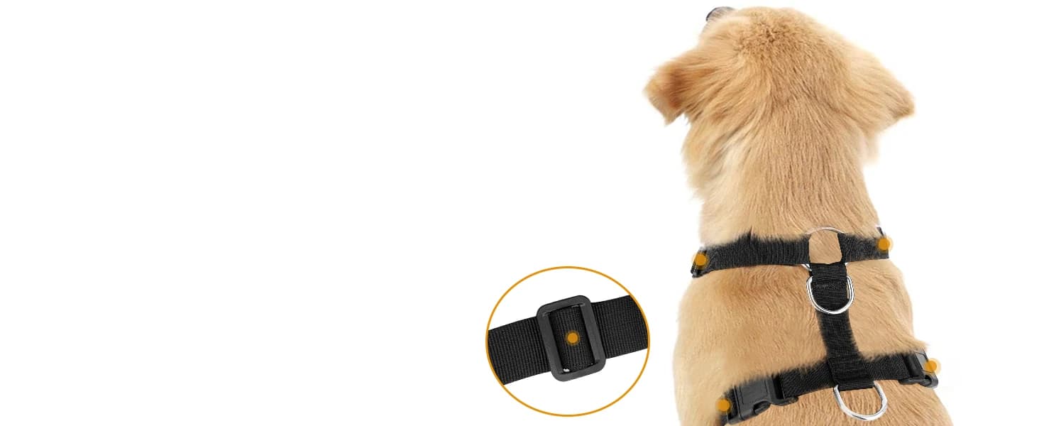 Dog Seat Belt and Harness for Car — 2 in 1 Seatbelt Buckle — collection imagery