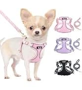 Dog Seat Belt and Harness for Car — 2 in 1 Seatbelt Buckle — collection imagery