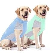 Dog Seat Belt and Harness for Car — 2 in 1 Seatbelt Buckle — collection imagery