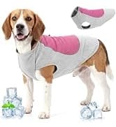 Dog Seat Belt and Harness for Car — 2 in 1 Seatbelt Buckle — collection imagery