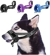 Dog Seat Belt and Harness for Car — 2 in 1 Seatbelt Buckle — collection imagery