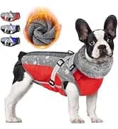 Dog Seat Belt and Harness for Car — 2 in 1 Seatbelt Buckle — collection imagery