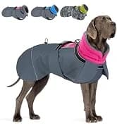 Dog Seat Belt and Harness for Car — 2 in 1 Seatbelt Buckle — collection imagery