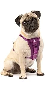 Enhanced Strength Tru-Fit Smart Harness — Black — product details