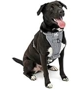 Enhanced Strength Tru-Fit Smart Harness — Black — collection imagery