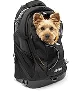 Enhanced Strength Tru-Fit Smart Harness — Black — collection imagery