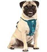 Enhanced Strength Tru-Fit Smart Harness — Black — collection imagery