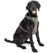 Enhanced Strength Tru-Fit Smart Harness — Black — collection imagery
