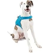 Enhanced Strength Tru-Fit Smart Harness — Black — collection imagery