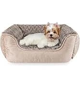 Rectangle Dog Bed for Large Medium Small Dogs - Washable Orthopedic Sofa Bed — collection imagery