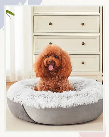 Rectangle Dog Bed for Large Medium Small Dogs - Washable Orthopedic Sofa Bed — collection imagery