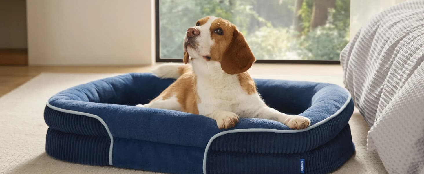 360°Oval Bolster Orthopedic Dog Beds Large Sized Dog — 35" Grey — product details