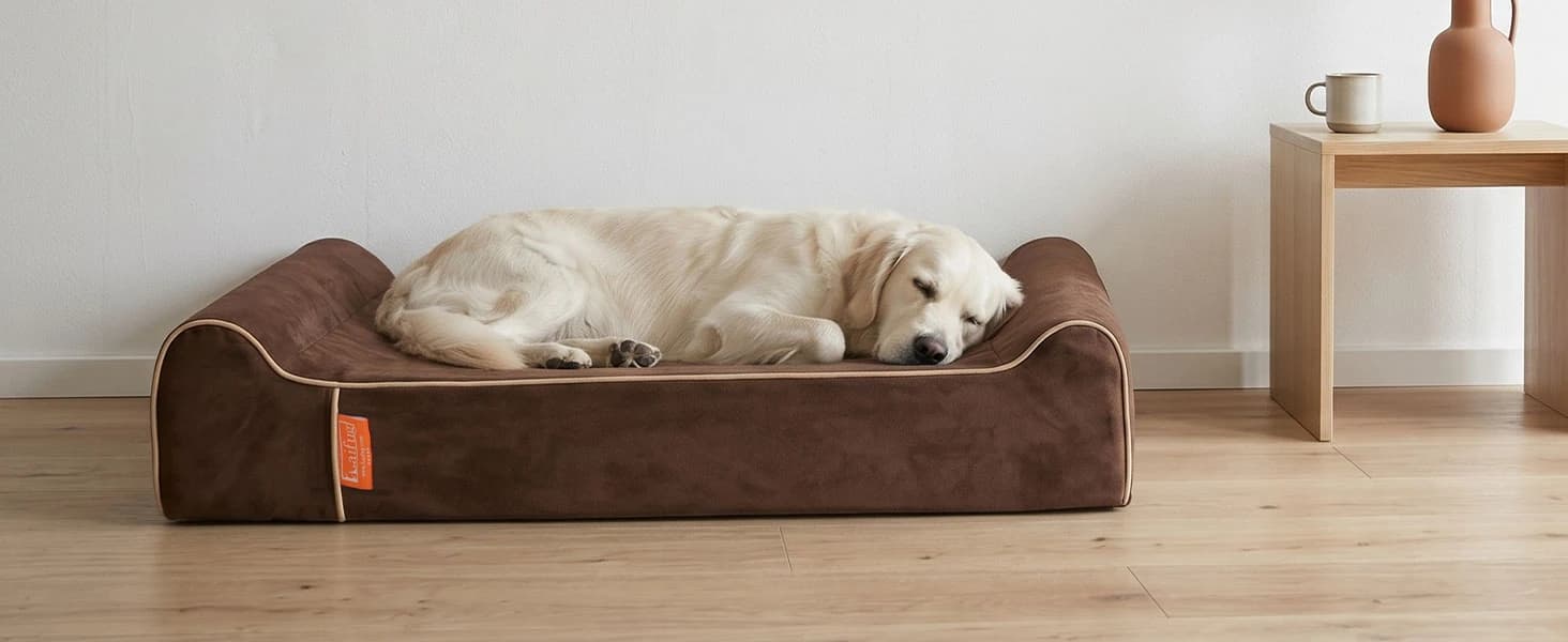Orthopedic Dog Bed — Slate Grey 50''x36''x10'' — collection imagery