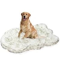 Orthopedic Dog Bed — Slate Grey 50''x36''x10'' — collection imagery