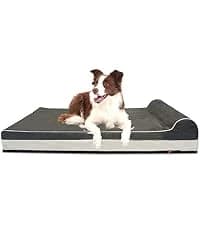 Orthopedic Dog Bed — Slate Grey 50''x36''x10'' — collection imagery