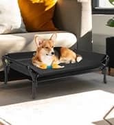 Outdoor Elevated Dog Bed with Waterproof Bolster Cushion — collection imagery