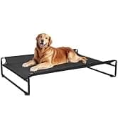 Outdoor Elevated Dog Bed with Waterproof Bolster Cushion — collection imagery