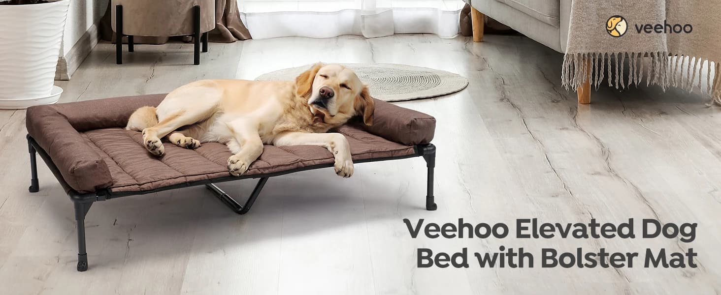Outdoor Elevated Dog Bed with Waterproof Bolster Cushion — product details
