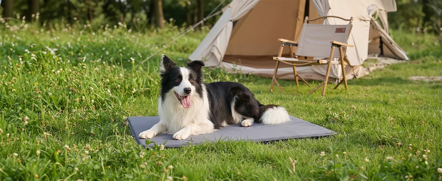 Outdoor Dog Crate Pad Bed — Reversible Waterproof Wipeable Kennel Mat — collection imagery