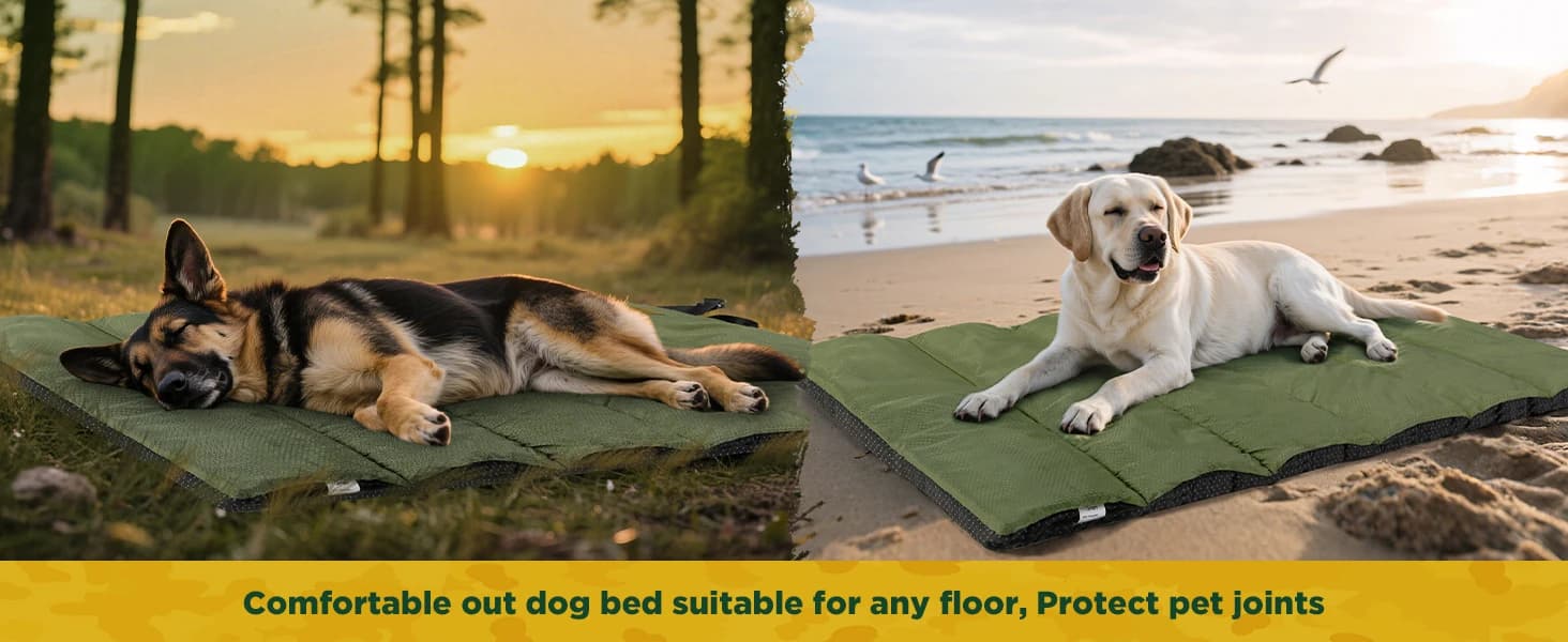 Upgraded Thickened XL Outdoor Dog Bed with Waterproof Film — product details