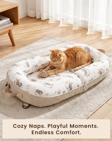 Dog Bed for Small Dogs and Cats — collection imagery