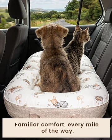 Dog Bed for Small Dogs and Cats — collection imagery