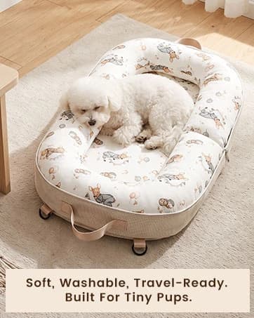 Dog Bed for Small Dogs and Cats — collection imagery