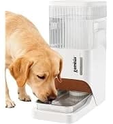 Collapsible Dog Crate for Medium Dogs - 36 inch Escape Proof Metal Dog Kennel with Double Door — collection imagery