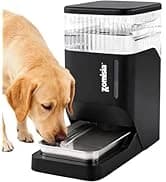 Collapsible Dog Crate for Medium Dogs - 36 inch Escape Proof Metal Dog Kennel with Double Door — collection imagery