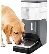 Collapsible Dog Crate for Medium Dogs - 36 inch Escape Proof Metal Dog Kennel with Double Door — collection imagery