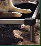 Rollick Dog Playpen — Indoor — collection imagery