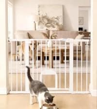 Dog Gate with Adjustable Cat Door — collection imagery
