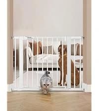 Dog Gate with Adjustable Cat Door — collection imagery